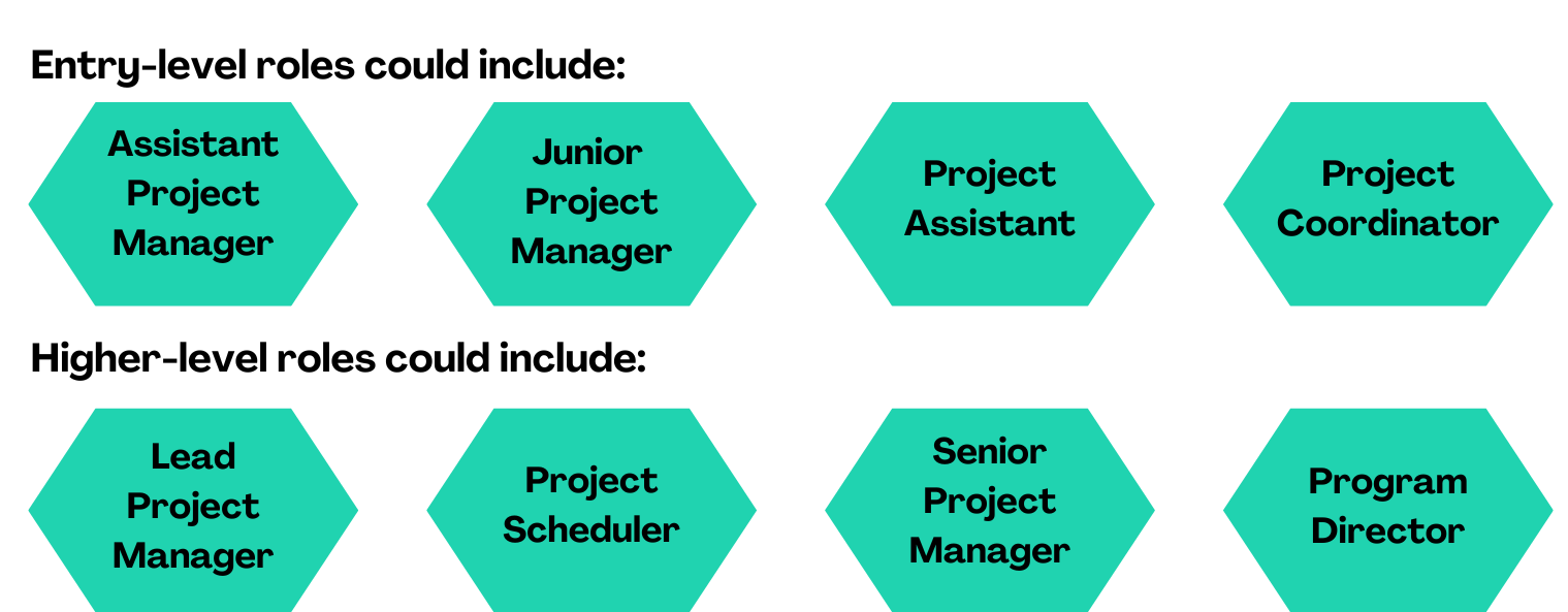 Skills network 1519 593 px 3